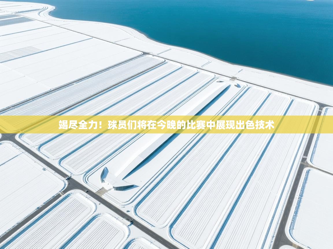 竭尽全力!球员们将在今晚的比赛中展现出色技术 第1张